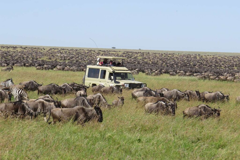 8 Days Exclusive Great Migration Safari, 8 days Tanzania safari, Great Migration safari, wildebeest migration Tanzania, Mara River crossing safari, Serengeti migration tour, Lake Natron safari, Tarangire National Park safari, Ngorongoro Crater safari, Big Five safari Tanzania, luxury Tanzania safari experience