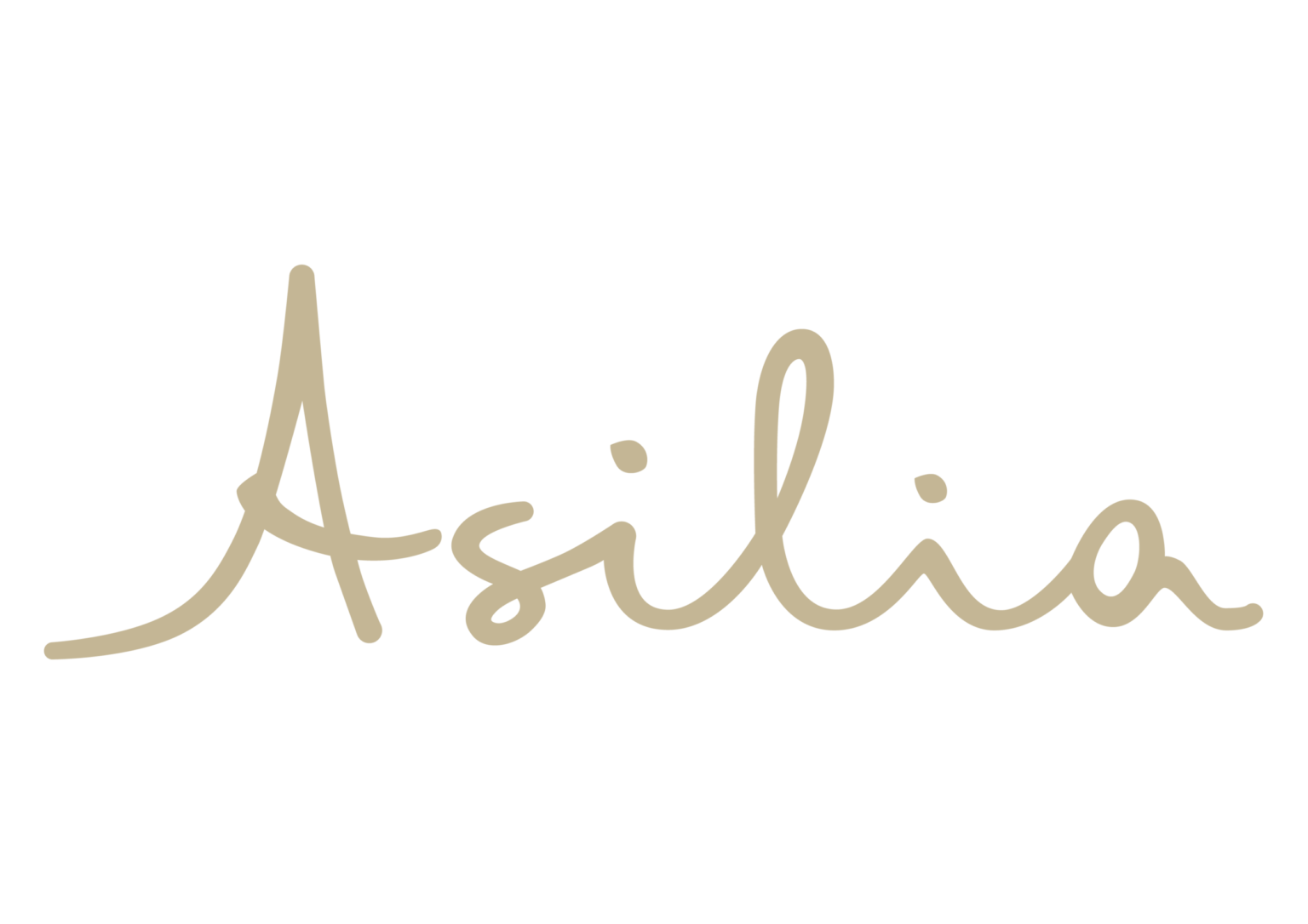 asilia logo 1536x1086 1