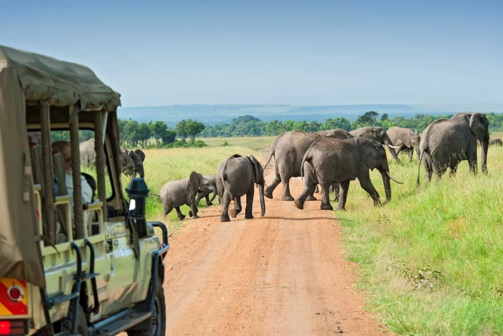 4 Days Northern Tanzania Safari Experience, Tanzania Safari Experience
