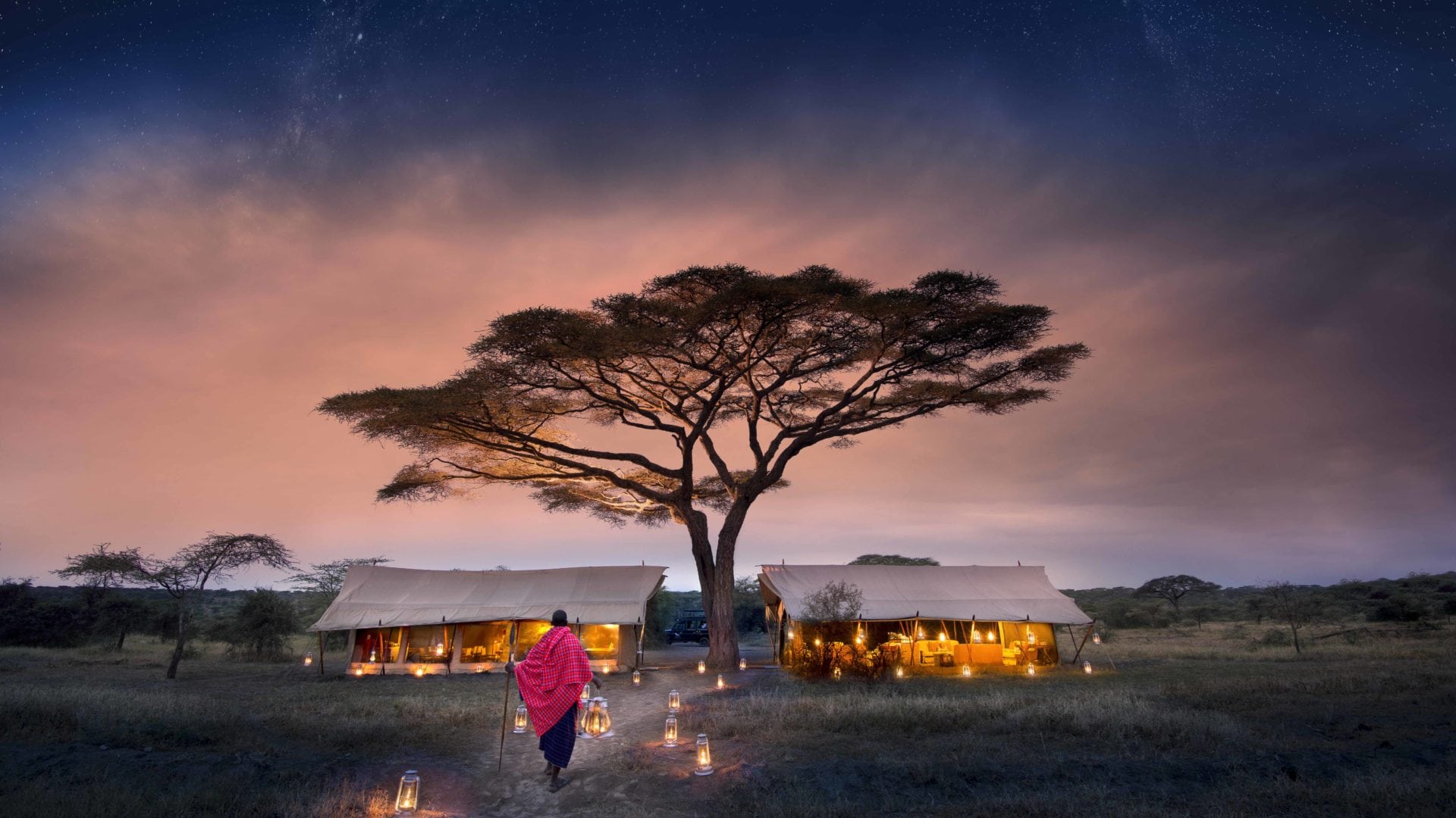 Serengeti Under Canvas starry nights