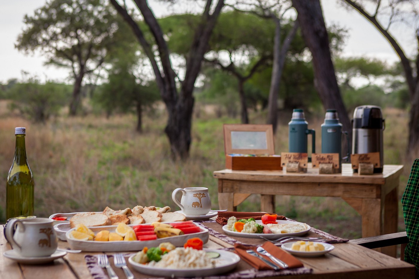 Baobab Tented Camp | Safari Camp Inside Tarangire National Park