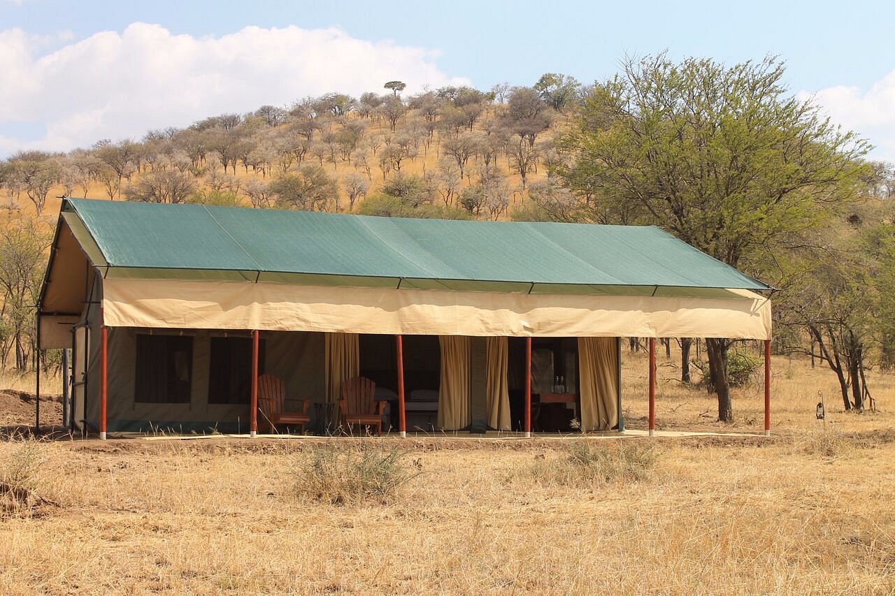 nimali-central-serengeti (5)