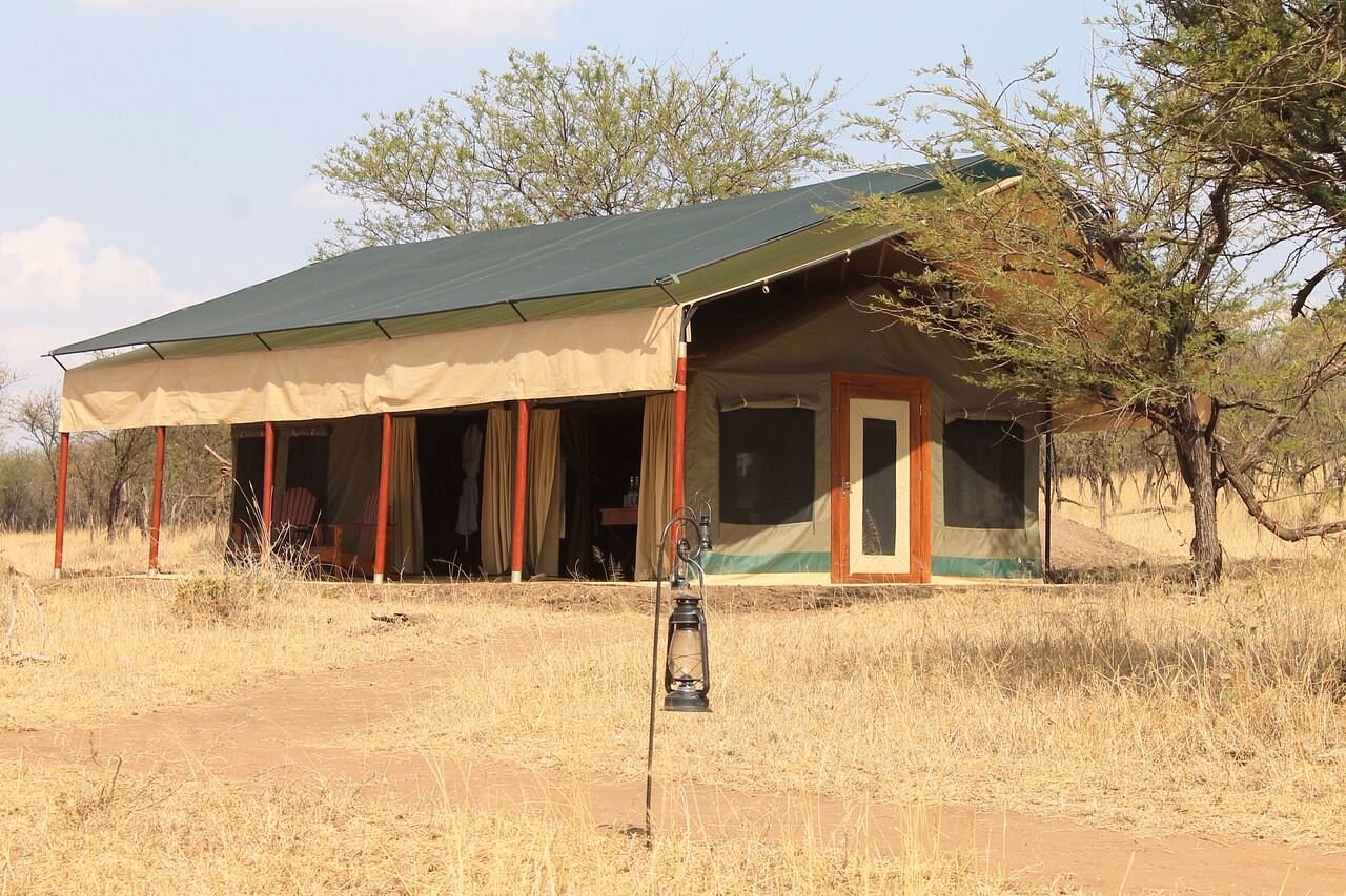 nimali-central-serengeti (6)