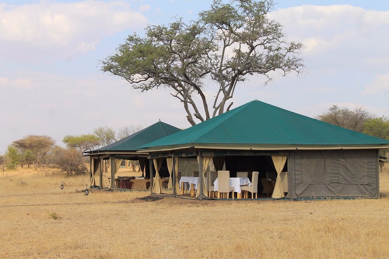 nimali-central-serengeti (8)