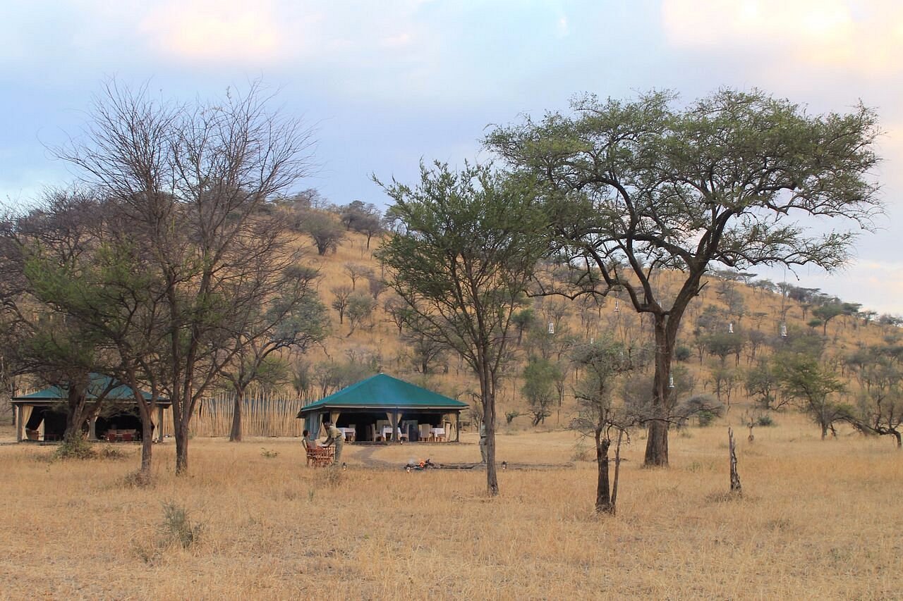 nimali-central-serengeti (9)