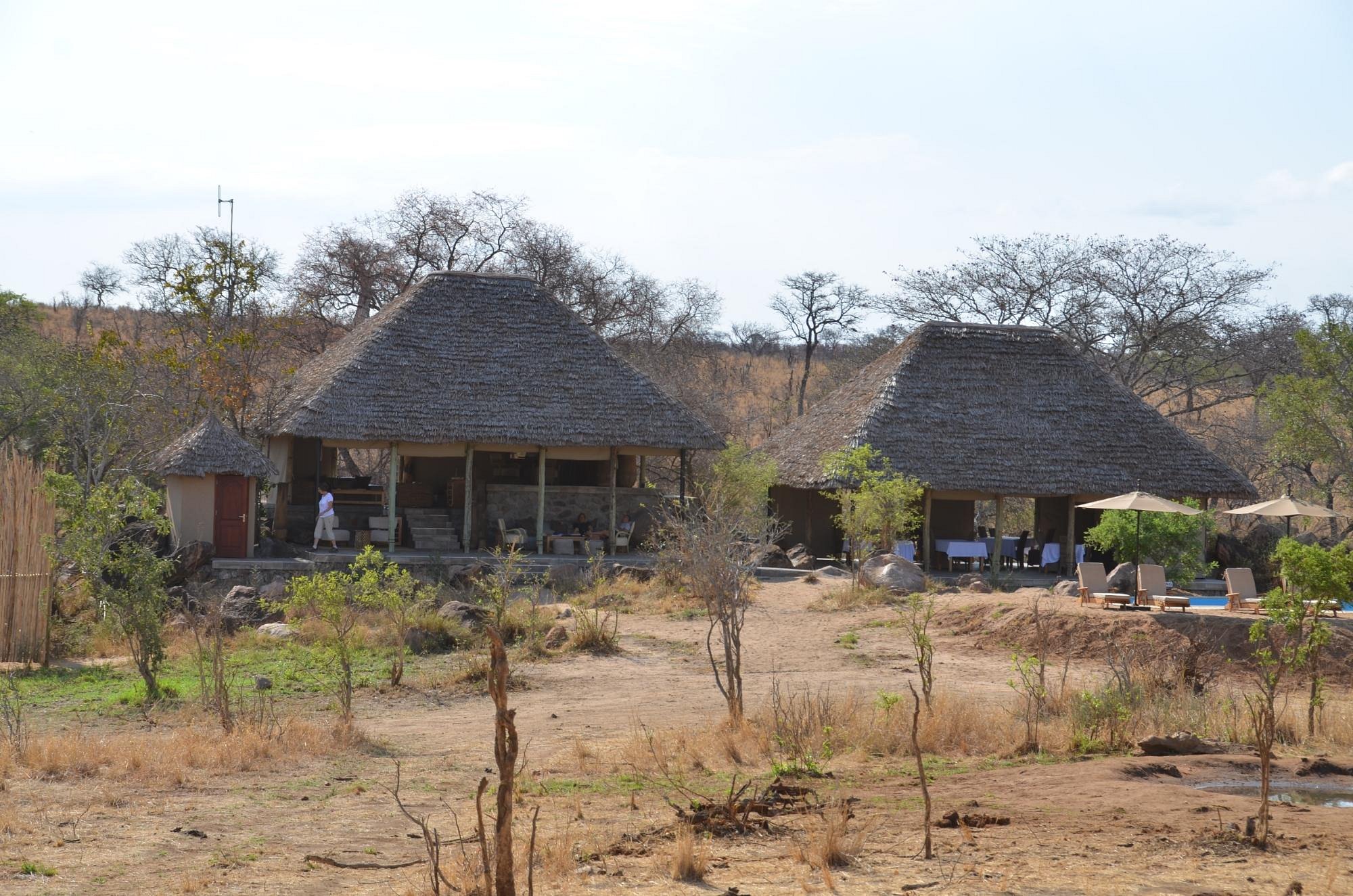 nimali-tarangire (5)