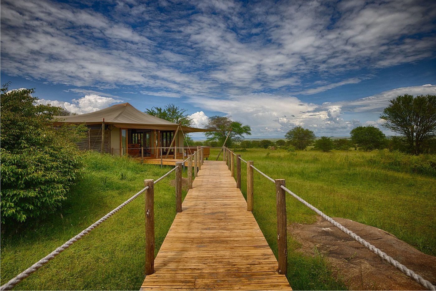 Sayari Camp Serengeti | Luxury Safari Lodge by Asilia Africa