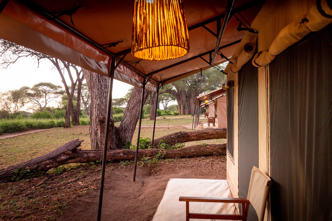 Baobab Tented Camp | Safari Camp Inside Tarangire National Park
