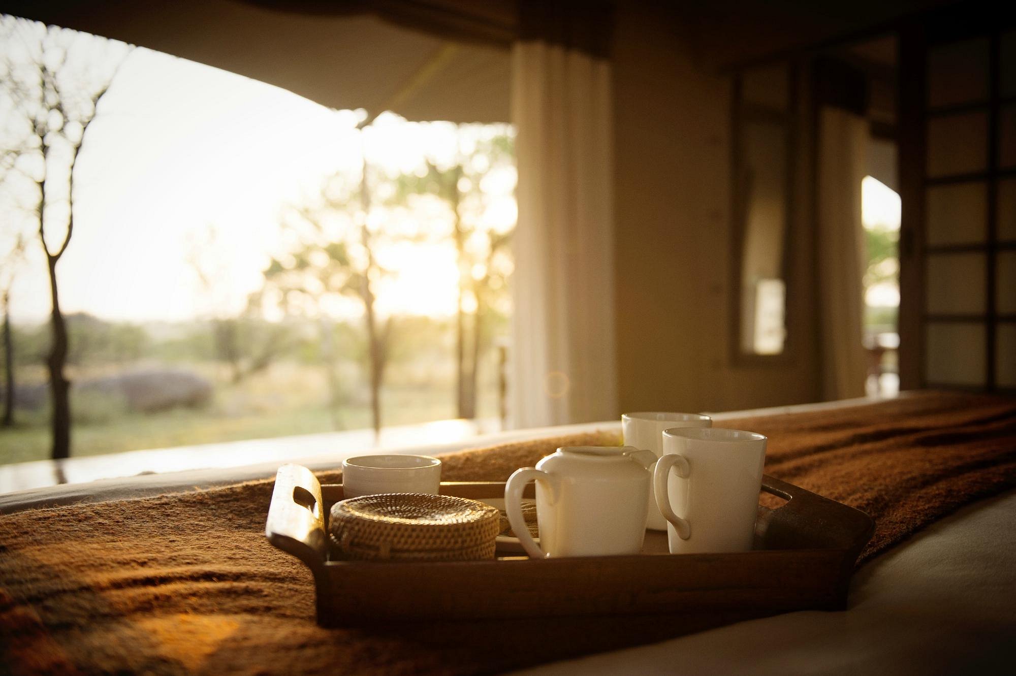 sayari-camp-asilia-africa