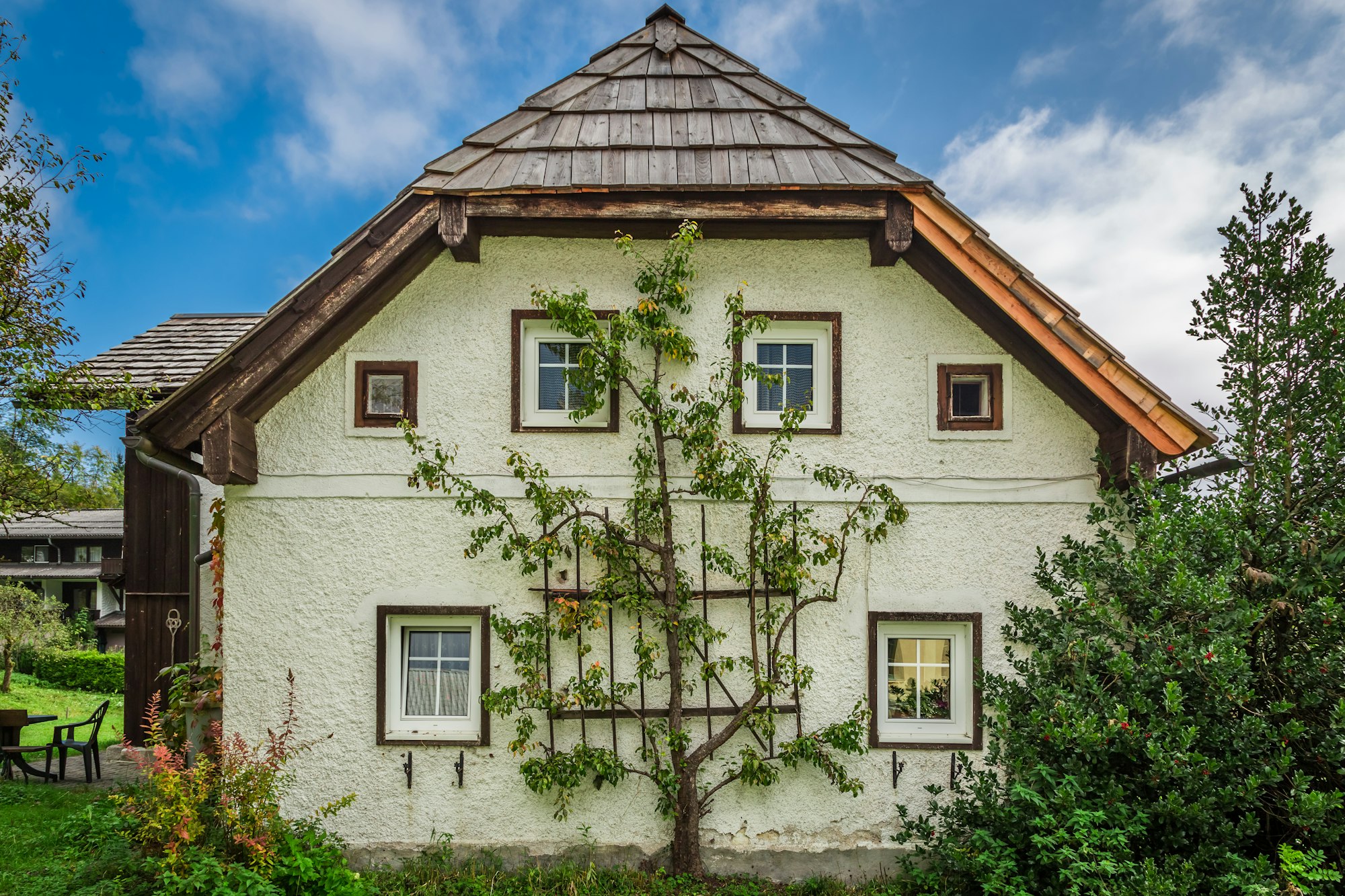 small cottage in the alps with a tree