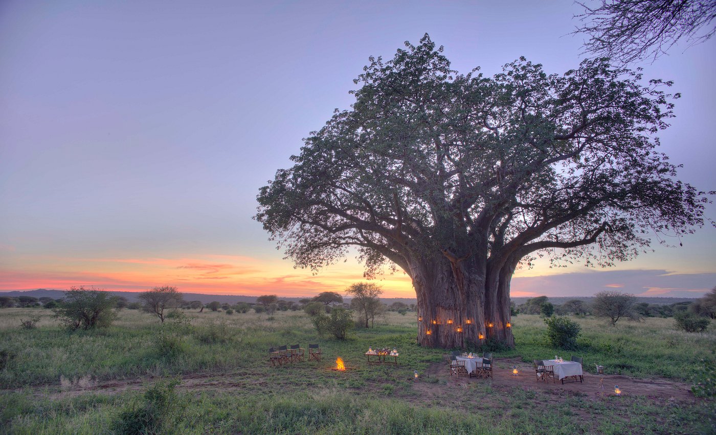 Nasikia Tarangire Ndovu Camp | Luxury Safari Camp in Tarangire National Park
