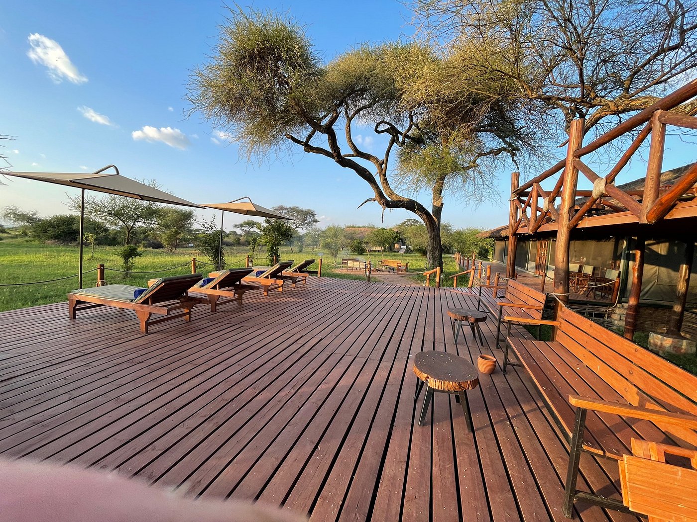 Tarangire Simba Lodge | Comfortable Safari Stay Near Tarangire National Park