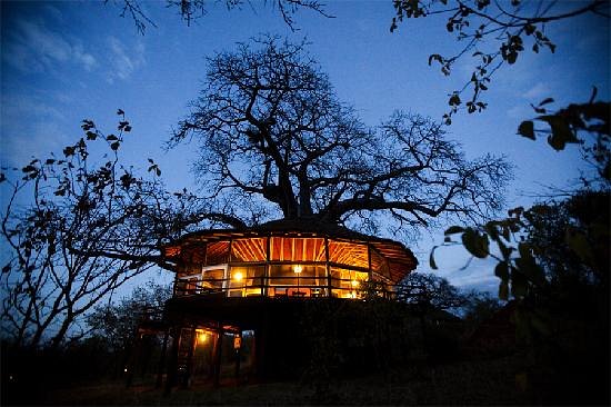 tree-house-at-tarangire