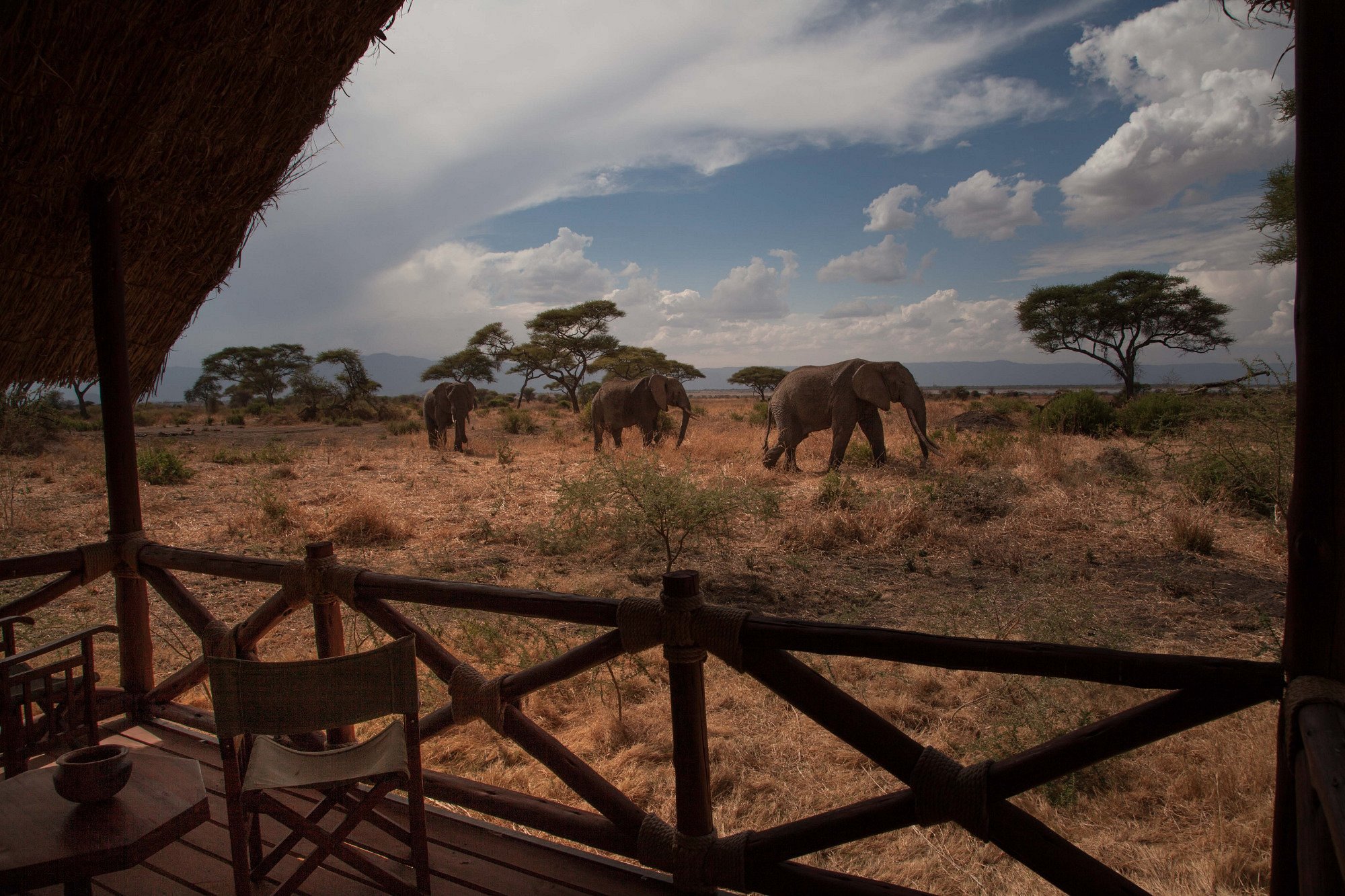 visitors-viewed-from