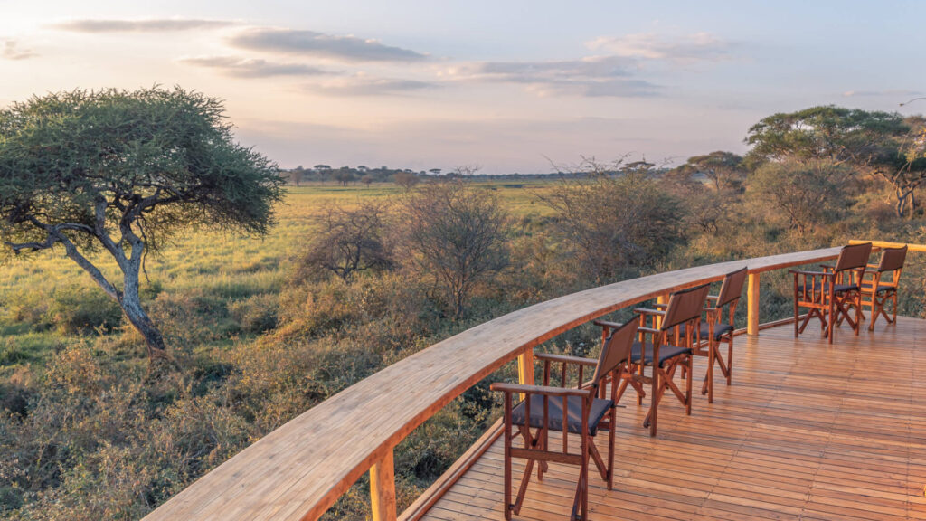 Asilia Camp Lodges Olivers Guest Reviews