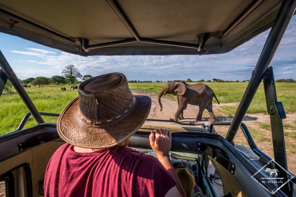 tarangire@GregoryRohart 4386