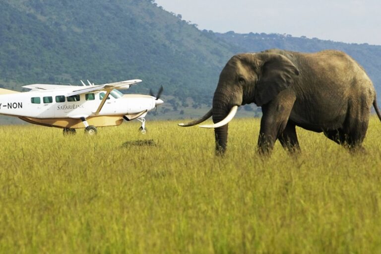 fly in safaris
