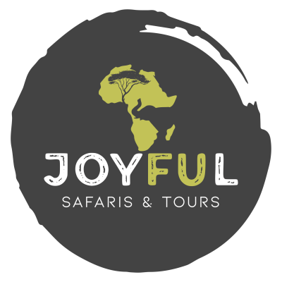 LOGO JOYFUL TRANSPARENT